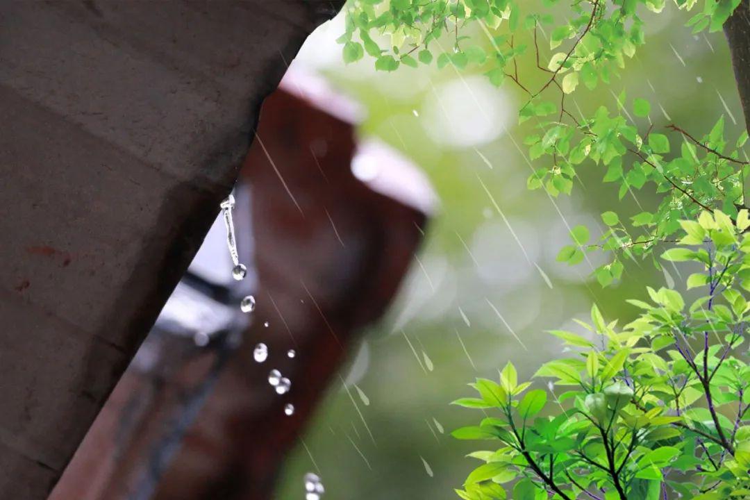 二胡风居住的街道钢琴伴奏谱_风居住的街道二胡谱_二胡独奏风居住的街道曲谱