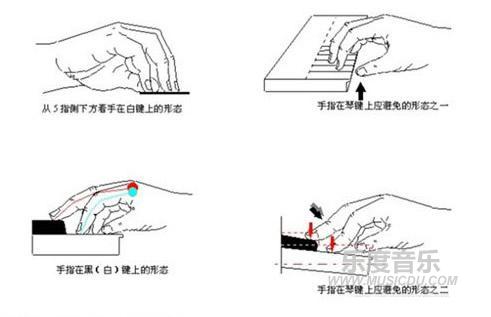 初学钢琴0基础教程，钢琴谱怎么看？