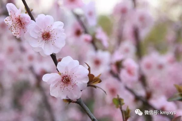 钢琴谱梁祝简谱_梁祝钢琴谱_钢琴谱梁祝钢琴谱