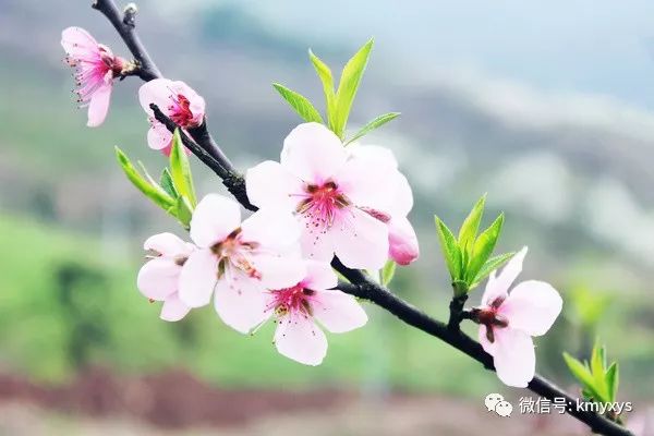 钢琴谱梁祝简谱_梁祝钢琴谱_钢琴谱梁祝钢琴谱