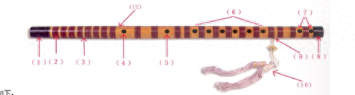 笛谱教程_笛谱初学者_初学笛谱