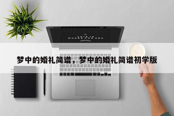 梦中的婚礼简谱，梦中的婚礼简谱初学版