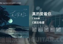 真的爱着你吉它谱,广东永琳歌曲,C调高清图,4张六线简谱