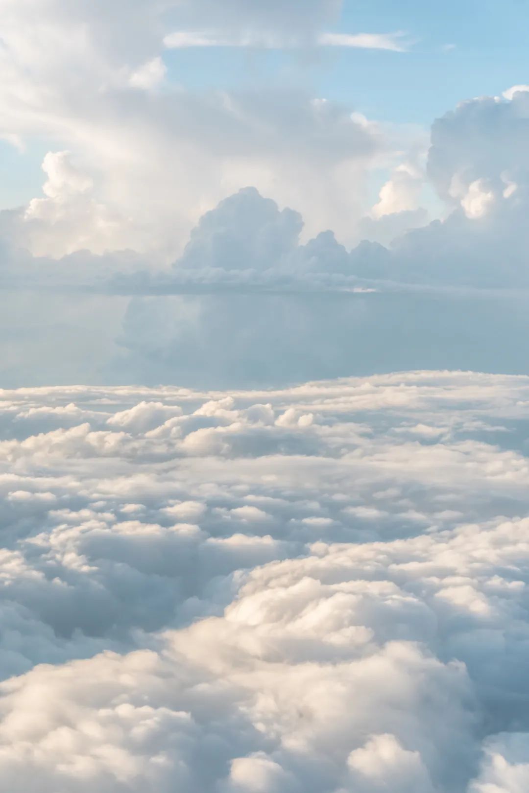 天空之城二胡谱_二胡曲谱搜谱网_八月桂花遍地开二胡谱