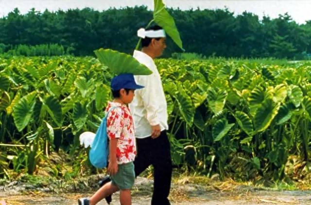 菊次郎夏天钢琴简易版_菊次郎的夏天钢琴谱_菊次郎夏天钢琴谱视频