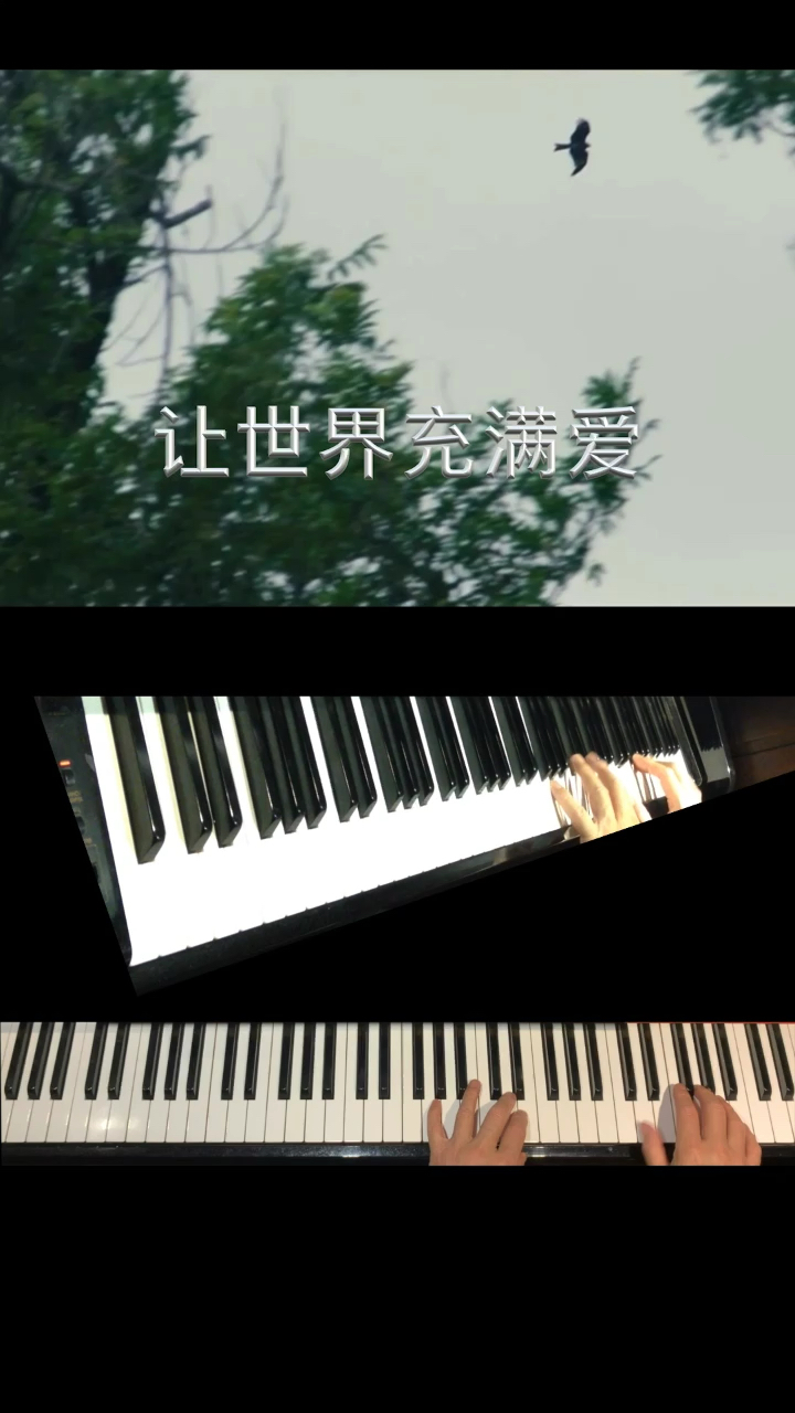 乐曲旋律新颖、生动的形象向人们展示了一个普遍真理：在这个世界上，只有互相理解，互相关爱，才能生活得更加美好，旋律深情、舒展大气，前半部分表现了真挚的深情；后半部分表现了热情的追求，节奏紧凑、情绪变得极富号召性。体现了风雨同舟的愿望，表达的是发自内心的祝福，相信爱可以穿越时空。演奏视频