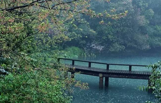 丁香花吉他谱_吉他丁香花乐谱_吉他独奏丁香花谱