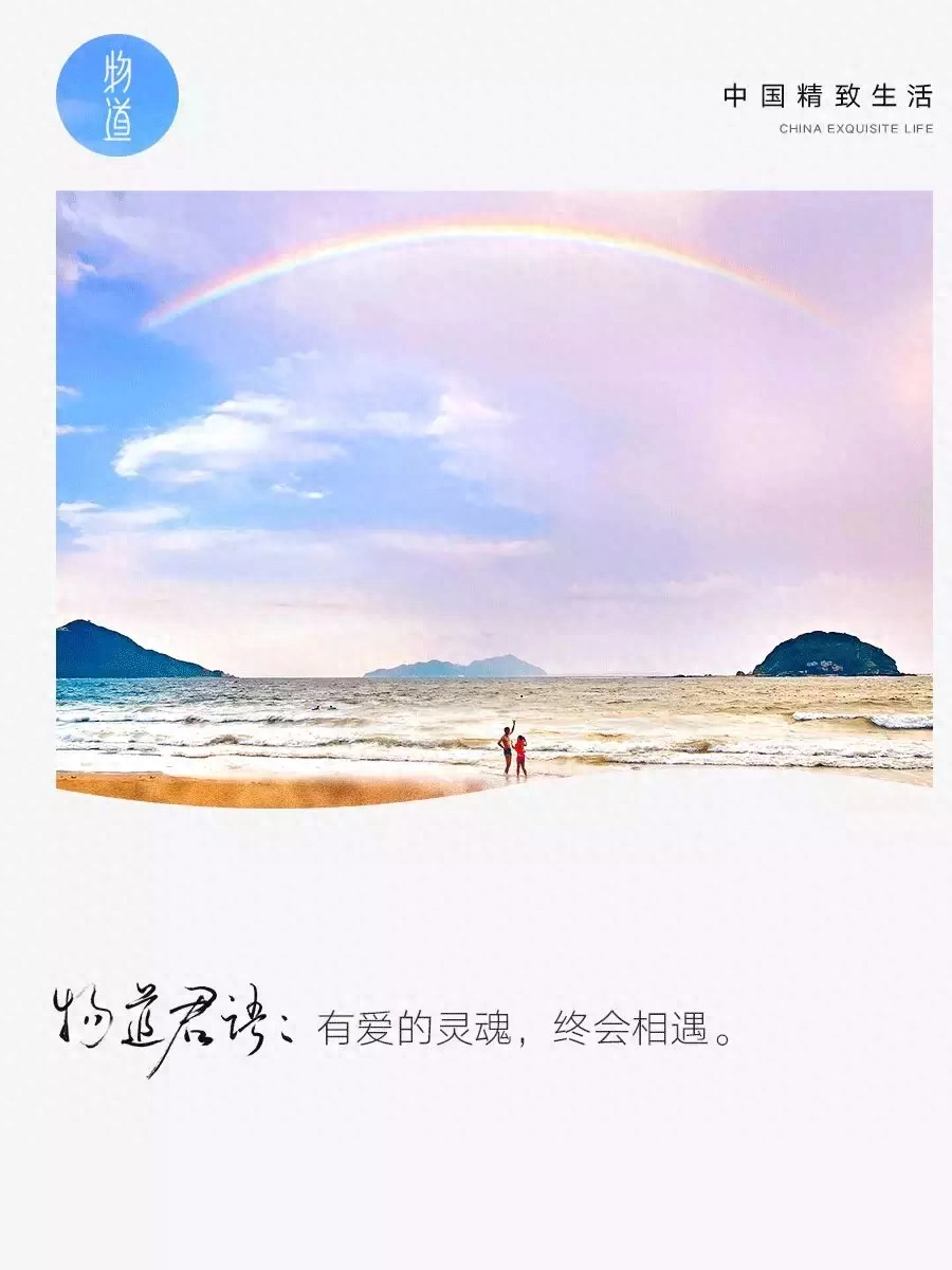 吉他曲梦驼铃_吉他曲梦中的森林_梦吉他曲