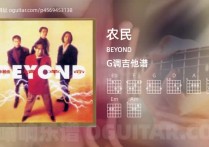 农民吉他谱,BEYOND歌曲,G调高清图,4张六线原版简谱