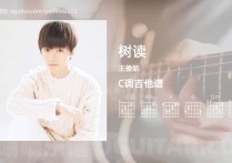 树读吉他谱,王俊凯歌曲,C调高清图,3张六线原版简谱