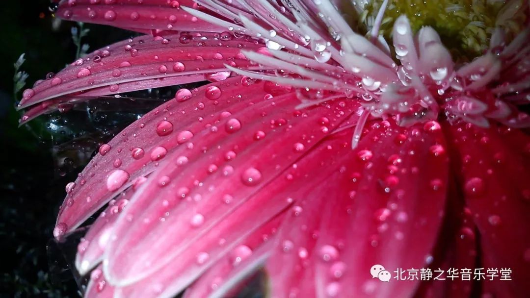 古典吉他曲雨滴_吉他古典雨滴曲谱简谱_吉他古典雨滴曲谱教学