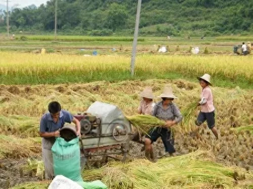 艾比老师的英语学习历程第一回：跟英语的初恋