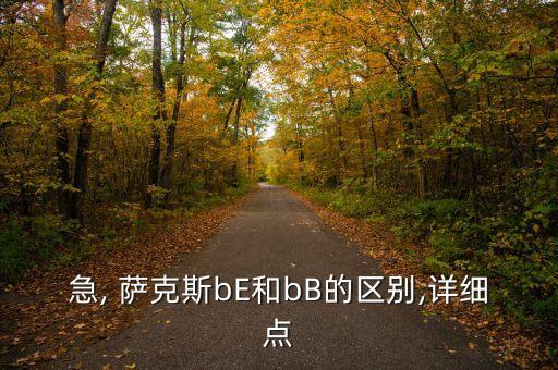 急, 萨克斯bE和bB的区别,详细点