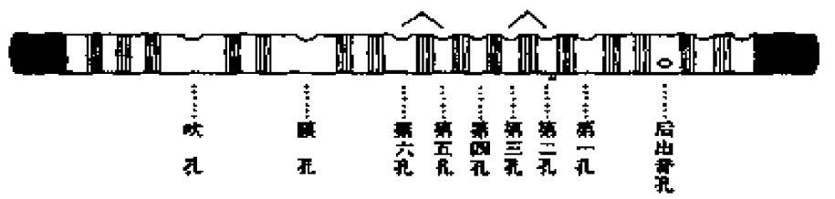 笛子的泛音、顿音、保音、强音、连线的奏法