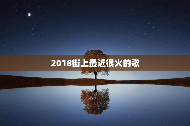 2018街上最近很火的歌