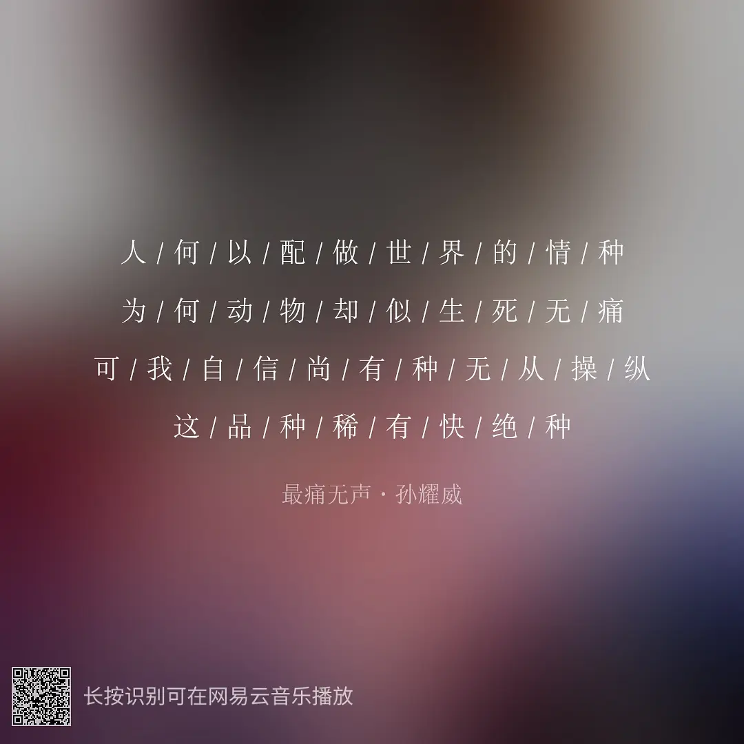 粤语热门背景音乐二胡曲_二胡粤语歌歌单_粤语热门二胡背景曲音乐大全