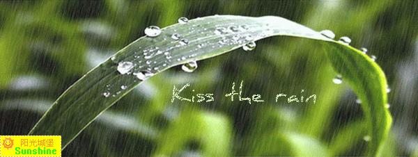 雨的印记(Kiss The Rain)