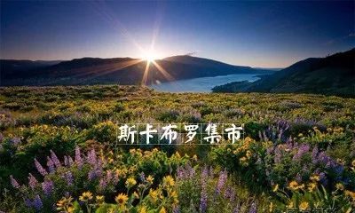 热门纯音乐二胡曲_二胡纯音乐_热门二胡曲纯音乐大全