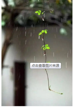 吉他雨滴独奏曲视频_吉他名曲雨滴_雨滴吉他曲