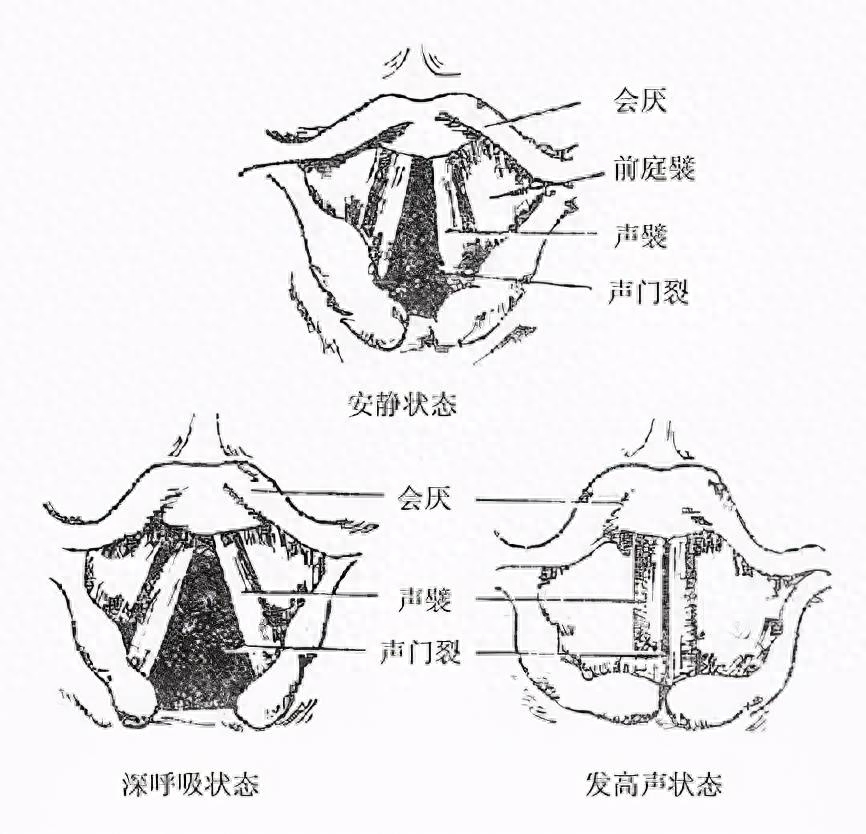 钢琴弹倚音有什么技巧_钢琴倚音怎么弹_钢琴弹倚音可以省略吗