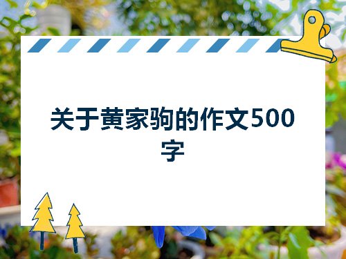 关于黄家驹的作文500字