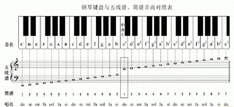 弹钢琴的钢_钢琴是怎么弹的_钢琴弹是什么