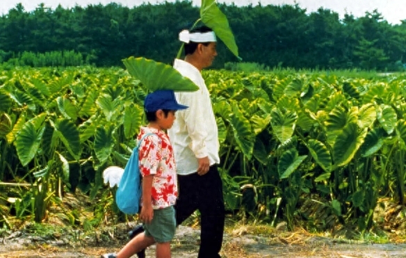 菊次郎的夏天钢琴曲_郎次菊的夏天钢琴曲_钢琴版的菊次郎夏天