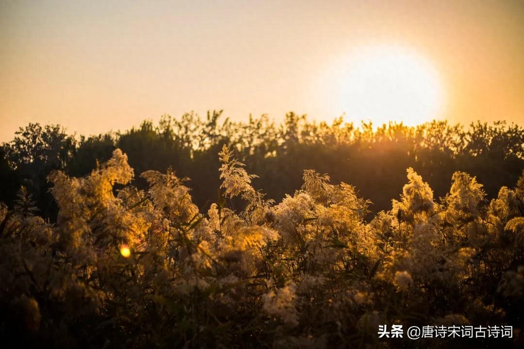 笛子天边歌词普_笛子天边歌词普_笛子天边歌词普