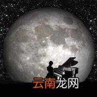 收集了20首钢琴曲 钢琴曲欣赏