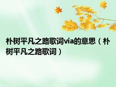 平凡之路吉他谱_吉他谱曲平凡之路_吉他平凡之路吉他谱