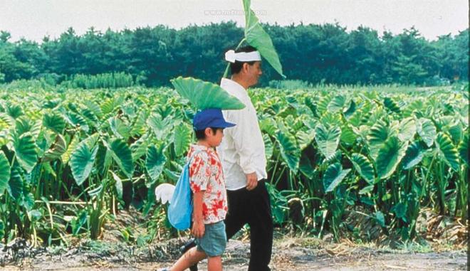 菊次郎的夏天钢琴曲_朗次菊的夏天钢琴谱_钢琴菊次朗的夏天