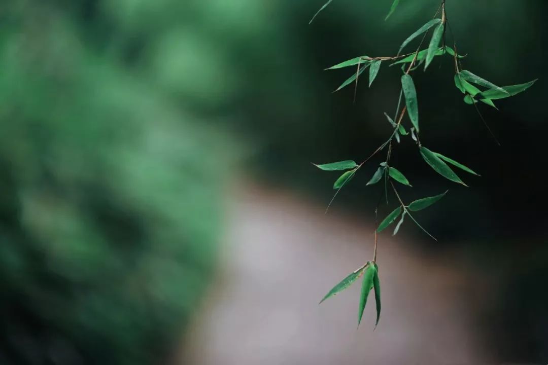 太极音乐二胡曲_好听的太极二胡曲_太极拳二胡曲大全