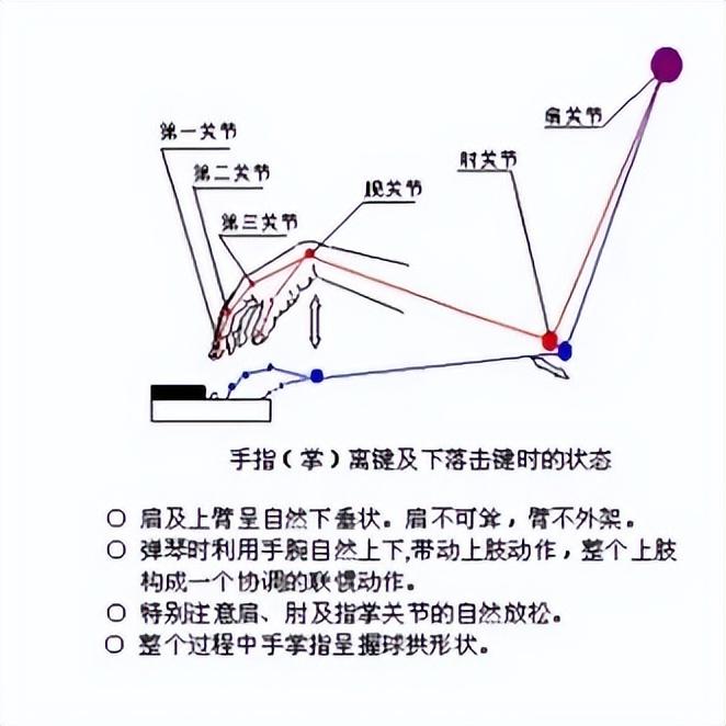 弹钢琴写一句话二年级_弹钢琴的弹怎么写_弹钢琴写话二年级