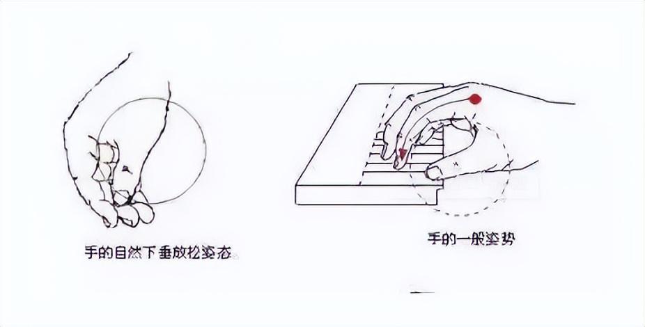 弹钢琴写一句话二年级_弹钢琴的弹怎么写_弹钢琴写话二年级