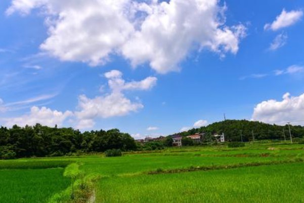 二胡很火的抖音叫什么来着_二胡抖音神曲_二胡曲抖音热门