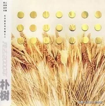 吉他曲mp3_吉他曲mp3下载_吉他曲欣赏10大名曲