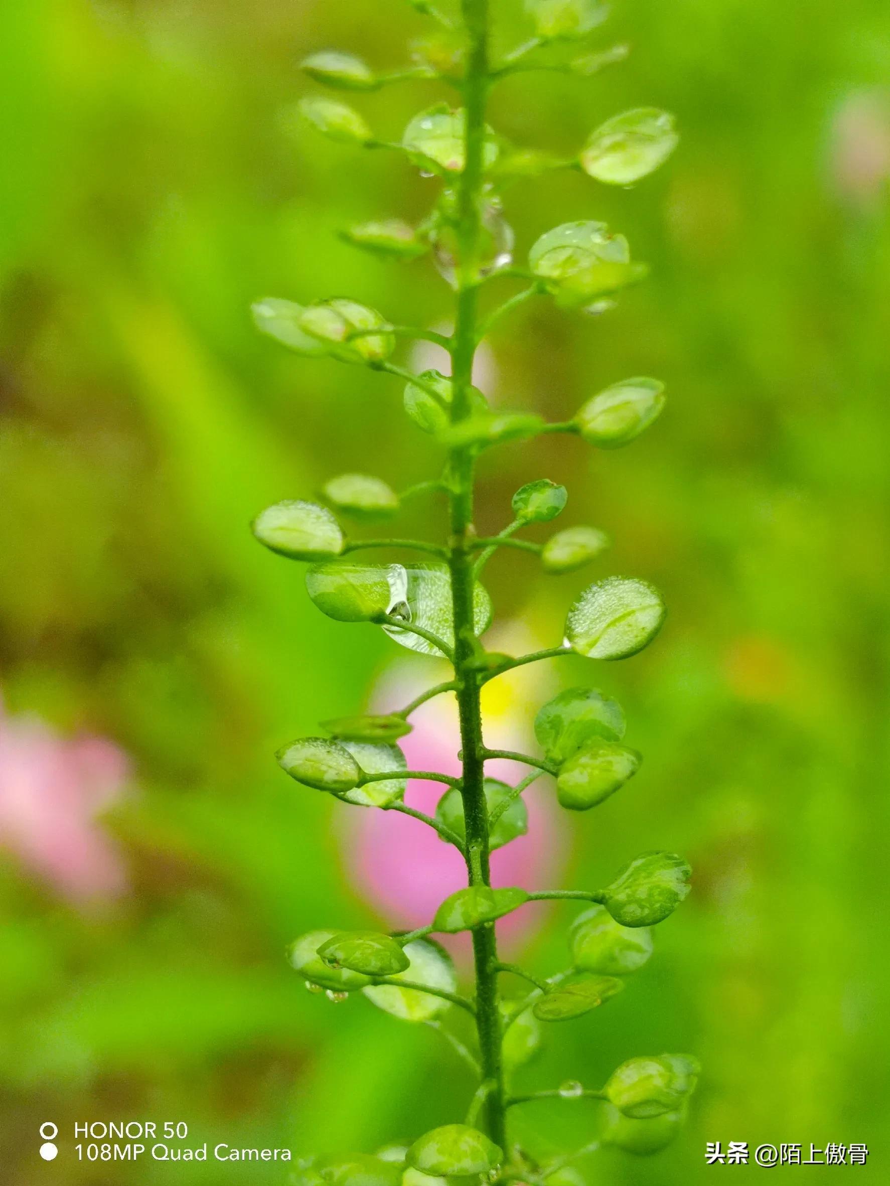 雨中漫步