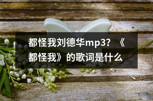 都怪我XXXmp3？《都怪我》的歌词是什么