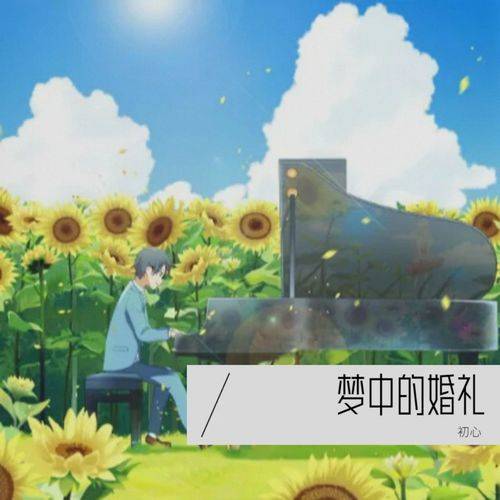 好听的钢琴曲怎么编_纯钢琴编曲的歌曲_好听的钢琴曲教程