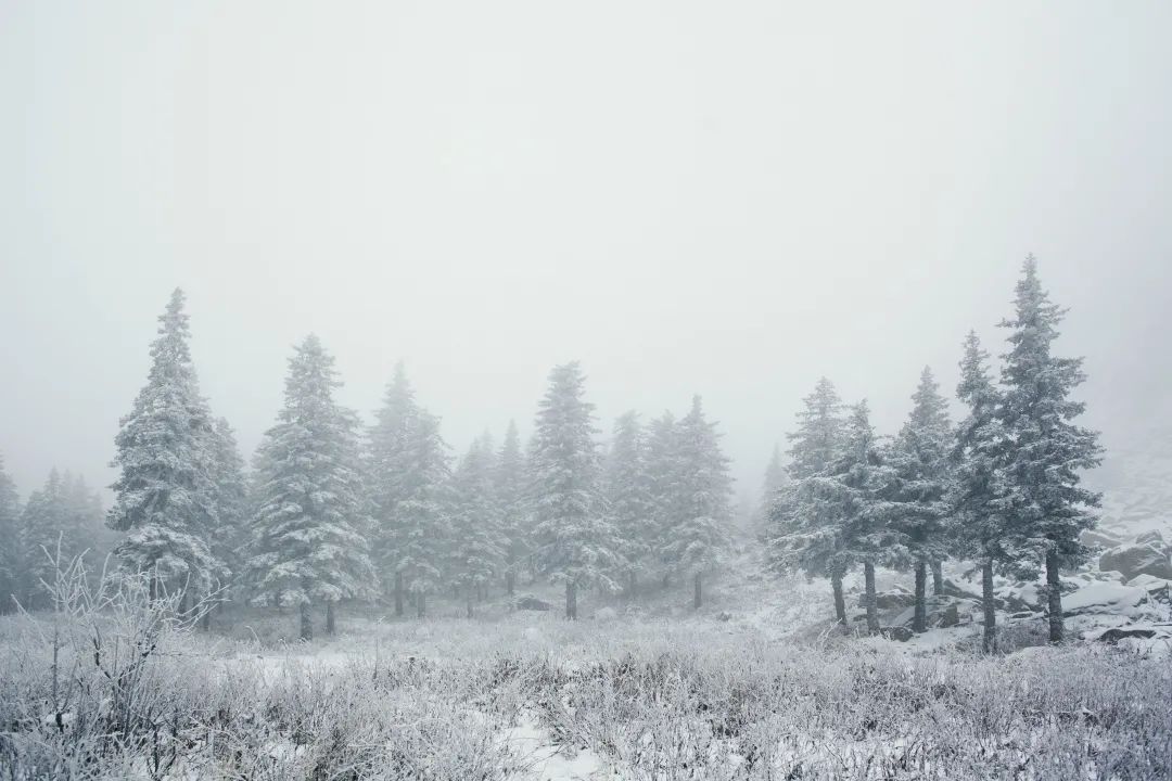 怎么编钢琴曲的结尾_钢琴曲结尾配哪几个音_钢琴曲的结尾怎么弹