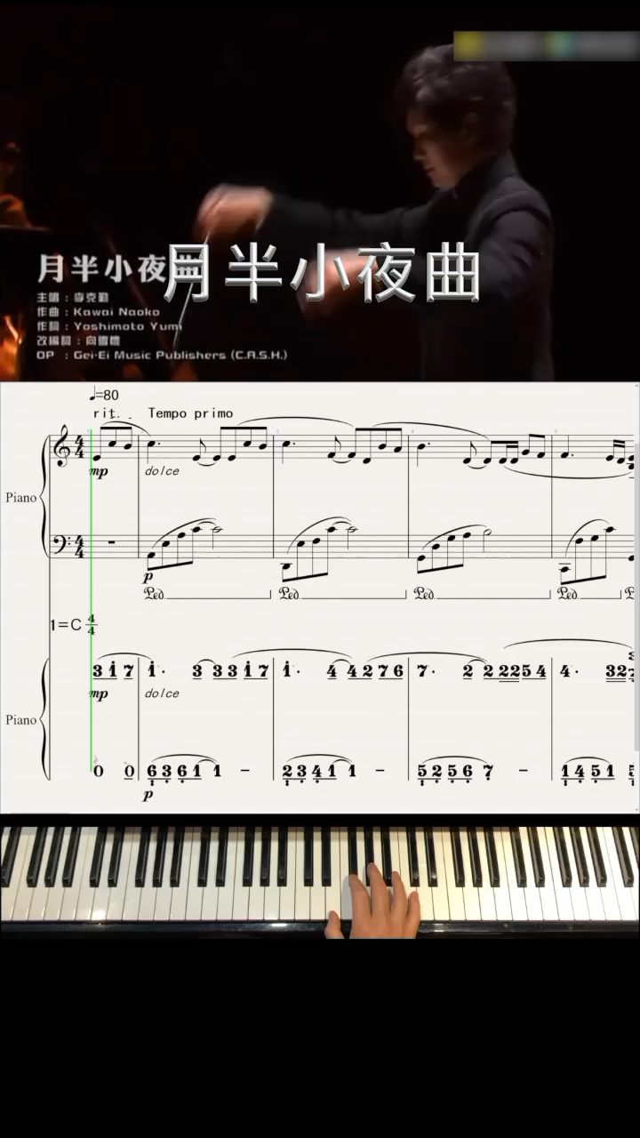 曲调悠扬动听，旋律缓慢流畅。安静和忧郁的情绪，仿佛在如泣如诉地叙述着讲述着，给听者绘制出一副当月夜来临时，沉寂的心情在失眠中度过。只因深深的思念，此时隐约听见琴声悲愤凄凉的音符……缠绵、伤痛莫名席卷而来！演奏视频