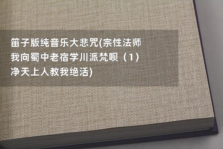 笛子版纯音乐大悲咒(宗性法师我向蜀中老宿学川派梵呗（1）净天上人教我绝活)