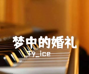 《梦中的婚礼吉他谱》_Ty_ice_吉他图片谱3张