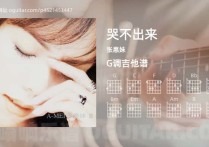 哭不出来吉它谱,张惠妹歌曲,G调高清图,3张六线简谱