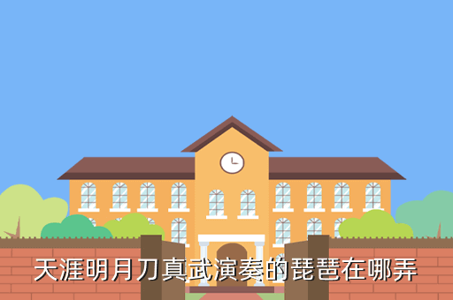 天涯明月刀真武演奏的琵琶在哪弄