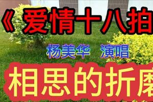 爱情十八拍男声版