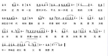 红尘情歌词简谱