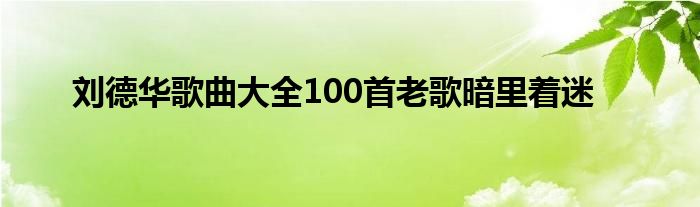 刘德华歌曲大全100首老歌暗里着迷