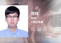 蹭梯吉他谱,李雪莱歌曲,G调高清图,3张六线原版简谱