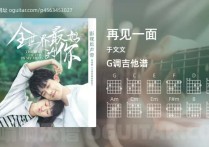 再见一面吉他谱,于文文歌曲,G调高清图,3张六线原版简谱